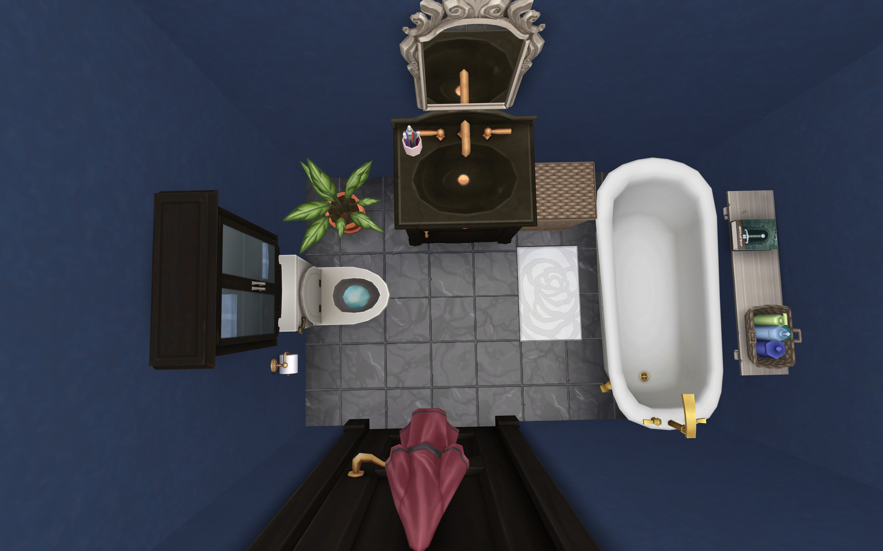 Topdown view of private bathroom